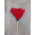 Pštrosí Pštrosí prachovka W12R – Hledejceny.cz