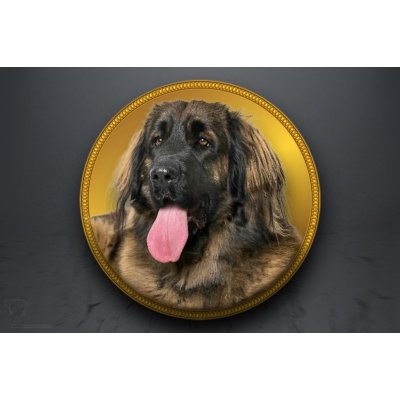 Emblém Leonberger GL324/GL324_50 – Zboží Dáma