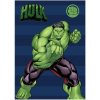 Dětská deka FARO Fleece deka Avengers Hulk