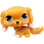 TM Toys Littlest Pet Shop Krabička s překvapením – Zboží Dáma