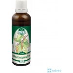 Naděje Březové jehnědy tinktura z pupenů 50 ml – Hledejceny.cz