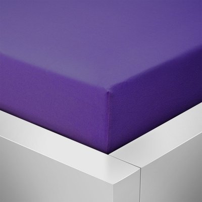 Homeville jersey prostěradlo ELASTIC švestka 100x220 – Sleviste.cz