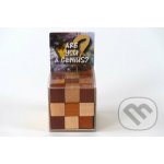 Recenttoys Hlavolam - Are you a Genius – Hledejceny.cz
