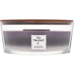 WoodWick Trilogy Amethyst Sky 453,6 g – Zboží Dáma