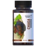 Mushroom Pharmacy ČAGA 120 tablet – Hledejceny.cz