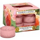 Yankee Candle Sun-Drenched Apricot Rose 12 x 9,8 g