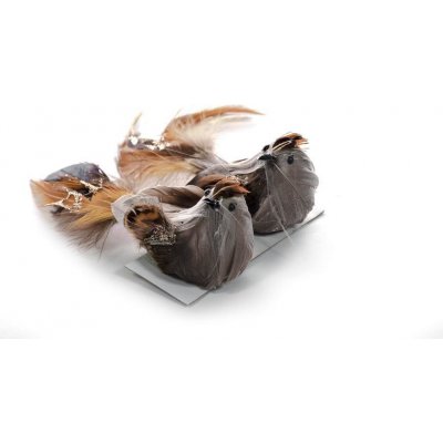 Ptáčátko se štipcomMagicHome hnědé 15x5x5 cm bal .: 4 páry – Zboží Dáma