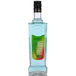 Rodnik 's Cannabis Absinthe 70% 0,7 l (holá láhev) – Zboží Dáma