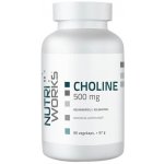 Choline 500 mg 90 kapslí – Hledejceny.cz