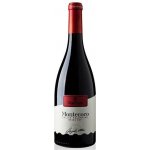 Cantine Due Palme Salice Salentino "Montecoco" DOP 2021 12,5% 0,75 l (holá láhev) – Hledejceny.cz