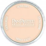 PanPastel suchý pastel 740.8 burnt sienna tint – Zboží Dáma