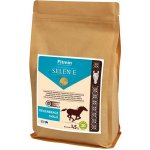 Fitmin SELEN E 1,5 kg – Zboží Dáma