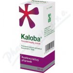 KALOBA POR GTT SOL 1X50ML – Hledejceny.cz