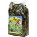 JR Farm Zelený oves 100 g