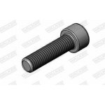 WALKER WA 81772 – Hledejceny.cz