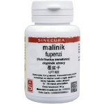 Sinecura Maliník fupenzi prášek 20 g – Hledejceny.cz