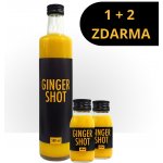 GingerShot Ginger Shot 0,5 l – Zbozi.Blesk.cz