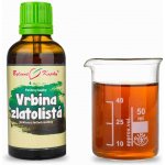 Bylinné kapky Pavlovy Vrbina zlatolistá TCM tinktrura 50 ml – Hledejceny.cz