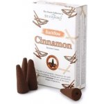 Stamford Vonné kužely Tekoucí dým Cinnamon Skořice 12 ks – Hledejceny.cz