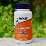 Now Foods Foods L-Karnosin 500 mg 50 kapslí – Hledejceny.cz