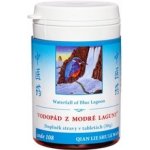 TCM Herbs Vodopád z modré laguny 100 tablet – Hledejceny.cz