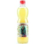 Stevikom Kombucha šípek 0,5 l – Zboží Dáma