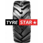 BKT Agrimax RT 955 300/95-46 148A8/148B TL | Zboží Auto
