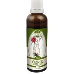 Naděje Podhorná Česnek medvědí a setý tinktura z bylin 50 ml – Sleviste.cz