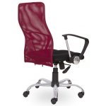 Sego Roma – Zboží Živě