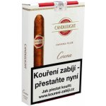 Candlelight Corona Havana 5ks – Hledejceny.cz