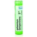 GELSEMIUM SEMPERVIRENS POR 5CH GRA 1X4G – Hledejceny.cz
