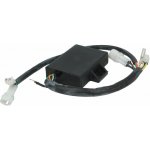 DZE zapalovací modul YAMAHA YFM 350 WARRIOR 96 (3GD-85540-30-00) – Hledejceny.cz