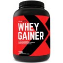 Vitalmax WHEY GAINER 4000 g