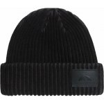 The North Face Salty Lined SE Beanie NF0A8HMN-BTO tnf black – Hledejceny.cz