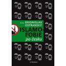 Islamofobie po česku - Bronislav Ostřanský