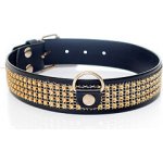 Třpytivý obojek Fetish Boss Series Collar Golden Crystals 3 cm vysoký – Zboží Mobilmania