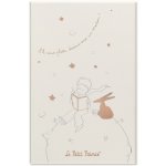 Moleskine Sada Le Petit Prince A5 zápisník a diář – Zboží Živě