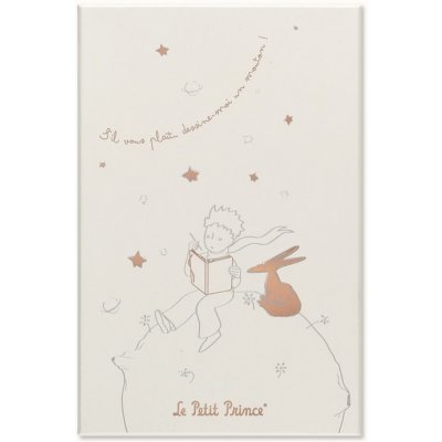 Moleskine Sada Le Petit Prince A5 zápisník a diář