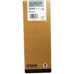 Epson C13T606900 - originální – Hledejceny.cz