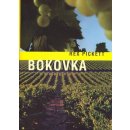 Film Bokovka DVD