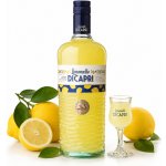 Molinari Limoncello di Capri 30% 0,7 l (holá láhev) – Hledejceny.cz