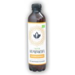 Puhdistamo Kombucha BIO 370 ml ginger lemon Bio Kombucha zázvor-citrón – Hledejceny.cz