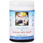 TCM Herbs Hostina pěti chutí 100 tablet – Hledejceny.cz