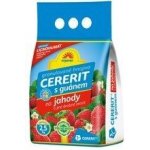Forestina ORGAMIN Cererit s guánem a lignogumátem na jahody a jiné drobné ovoce 2,5kg – Zboží Mobilmania