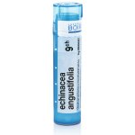 ECHINACEA ANGUSTIFOLIA POR 5CH GRA 1X4G – Hledejceny.cz