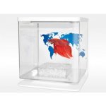 Cat-Gato Betarium Betta kit sand 2 l – Zboží Dáma