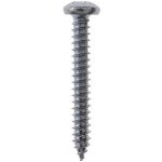 Profi Depot Vrut do plechu, ø 2,9 × 13 mm, drážka: PH1, 200 ks 20162476 – Hledejceny.cz
