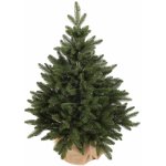 Laalu.cz Vánoční stromek jedle Bernard v květináči 75 cm – Zboží Dáma
