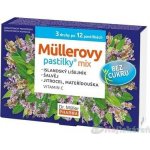 DR. MÜLLER Müllerovy pastilky mix bez cukru 3 druhy po 12 kusech – Hledejceny.cz