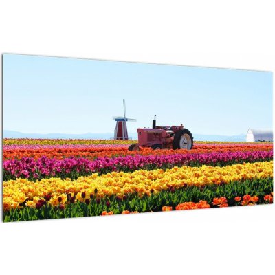 Skleněný obraz tulipánové farmy, jednodílný 100x50 cm na skle – Sleviste.cz